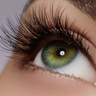 Lash & Brow Services