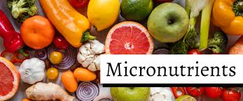 Micronutrient Deficiency Testing